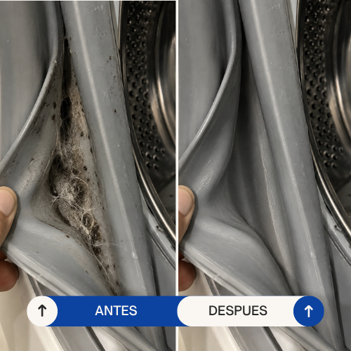Goma del lavarropas con suciedad antes y limpia después