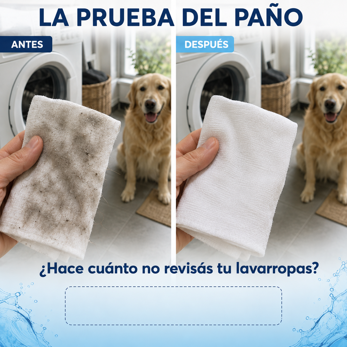 Pastillas CLARIO™ — Limpieza Profunda contra Pelos, Residuos y Malos Olores
